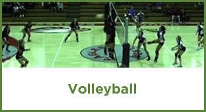 Douglas High School Sports - Volleyball