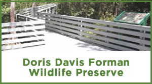 Doris Davis Forman Wilderness Preserve 